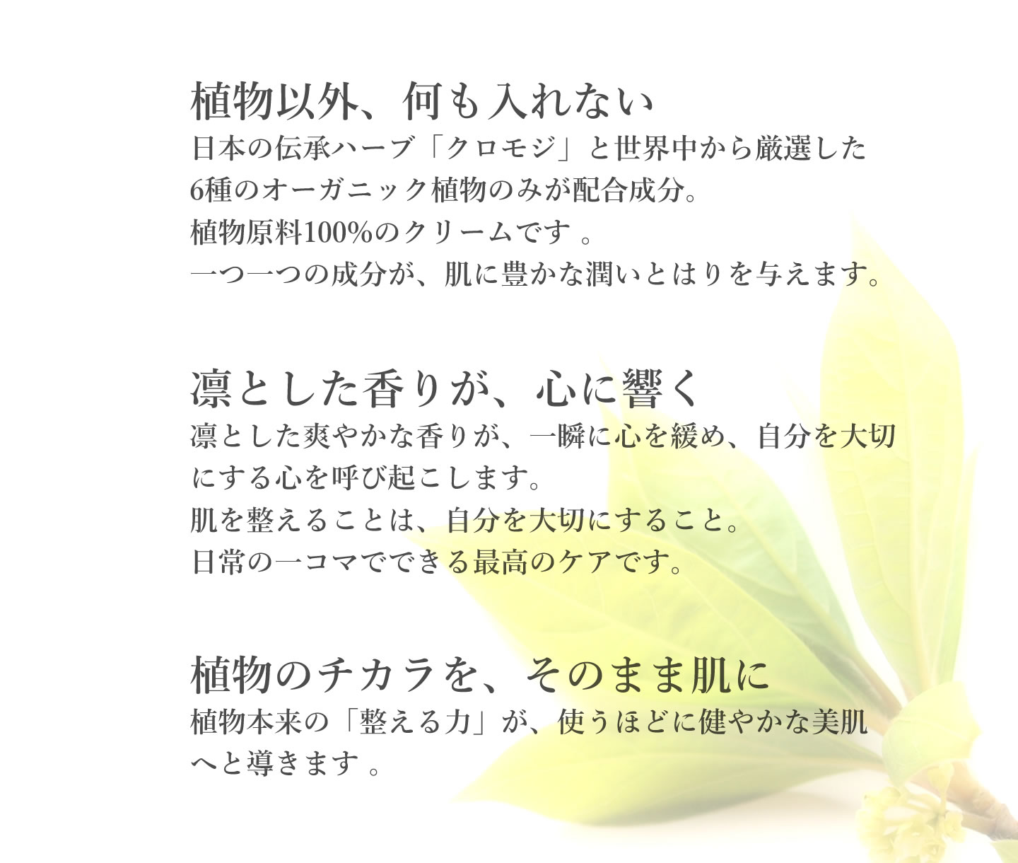 シアバタースキンケアクリーム