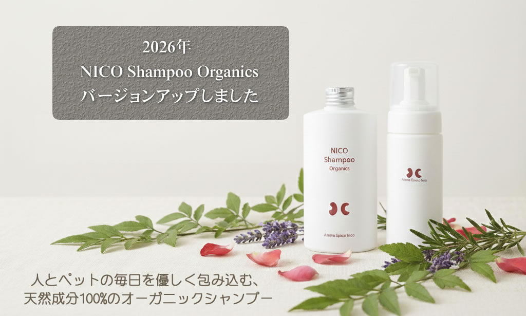 nicoシャンプー