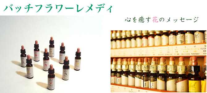 楽天市場】【お買い物マラソン最大2222円クーポン配布中】バッチ