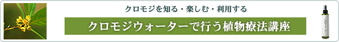 クロモジ植物療法講座