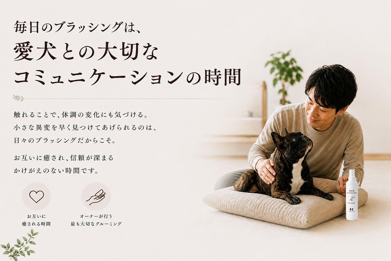 ブラッシングローション