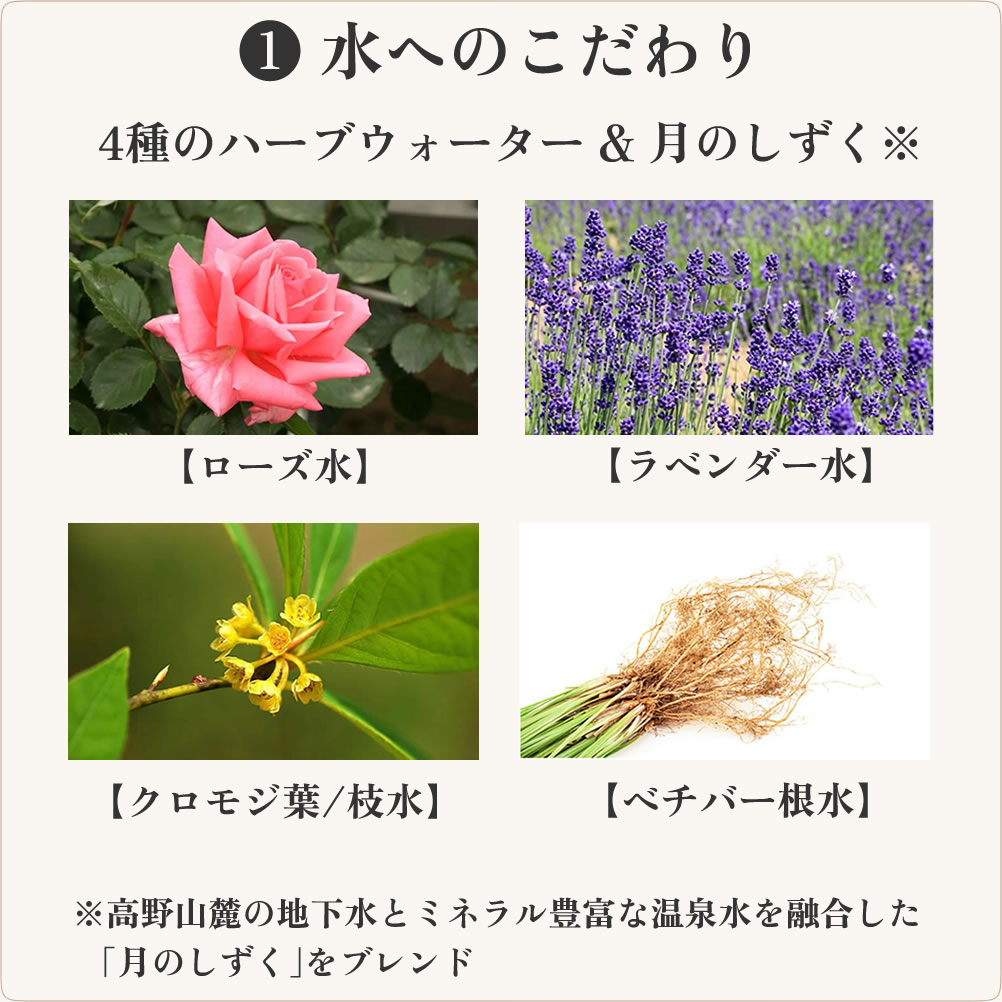 犬をやさしく洗うNICOシャンプーの使用イメージ