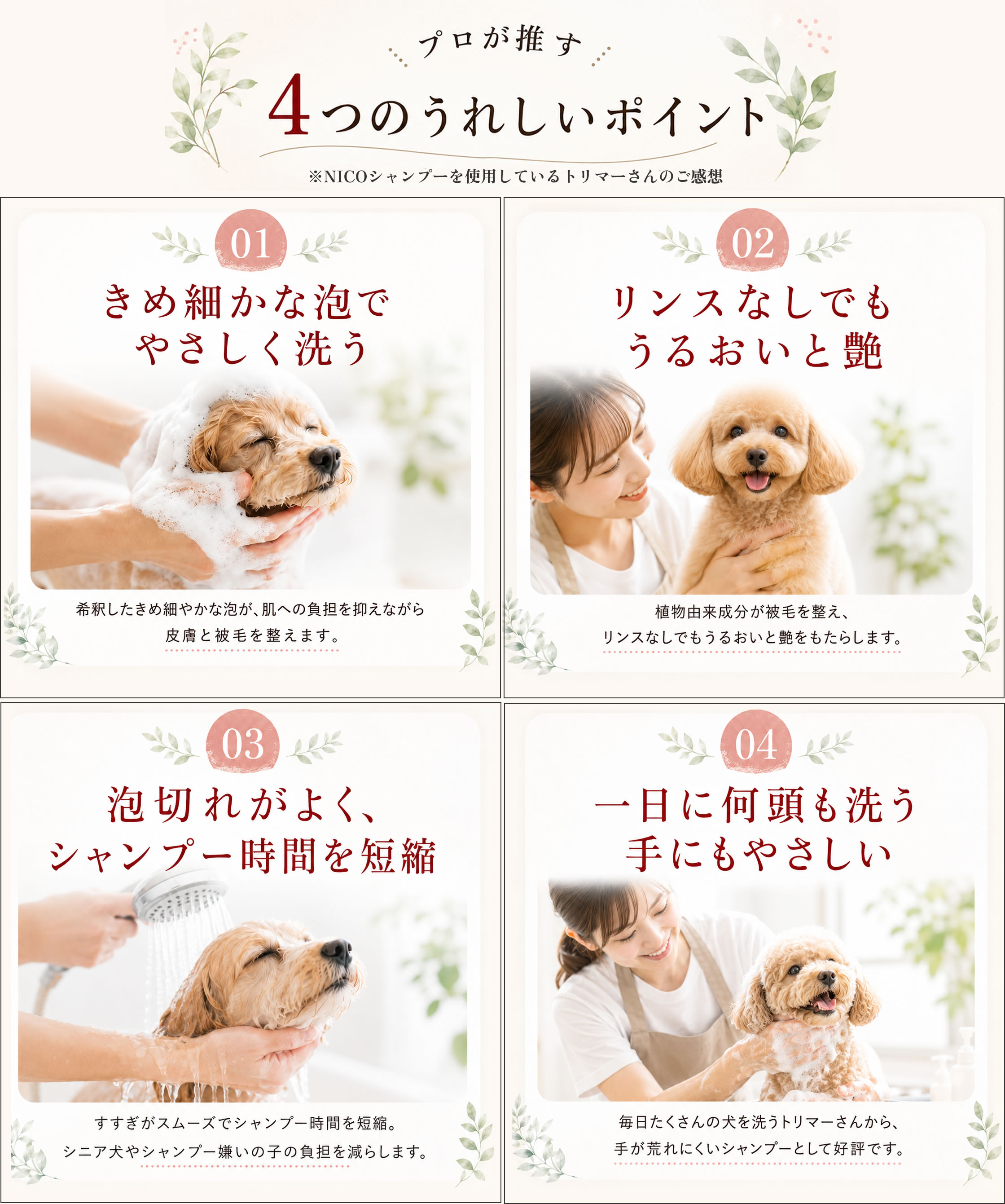 犬をやさしく洗うNICOシャンプーの使用イメージ
